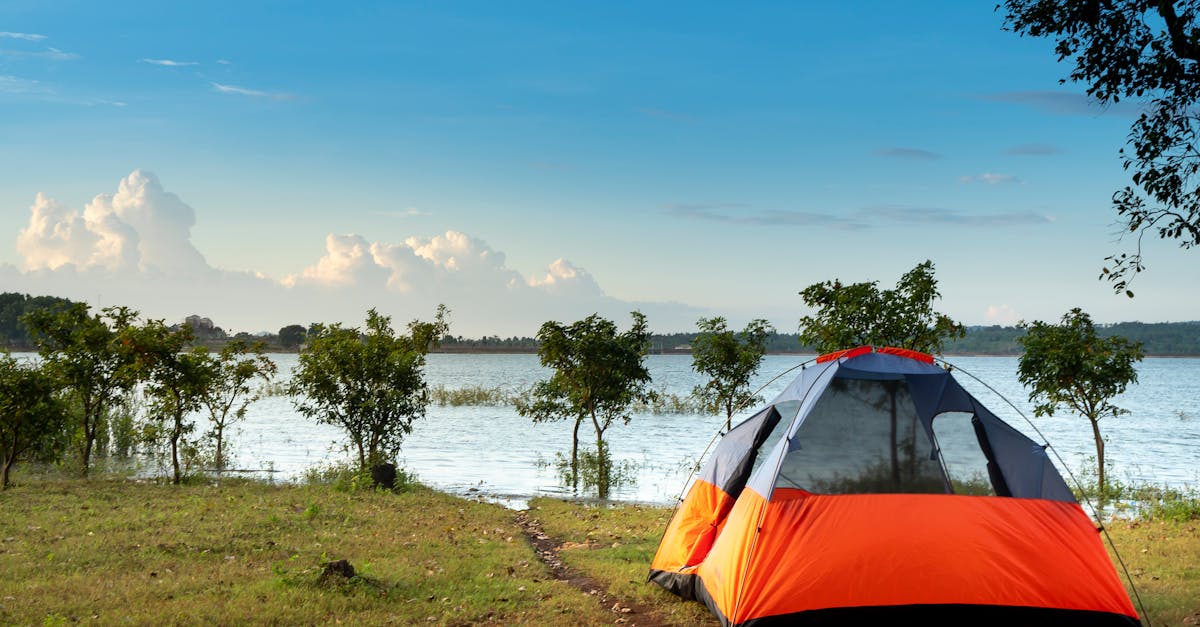 découvrez le plaisir du camping au cœur de la nature ! profitez d'activités en plein air, d'escapades en famille et d'une connexion authentique avec l'environnement. que vous soyez novice ou passionné, trouvez le camping idéal pour vivre des moments inoubliables sous les étoiles.
