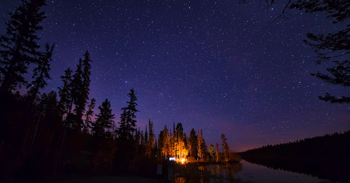 découvrez l'expérience unique du camping en pleine nature ! profitez de vacances reposantes, de paysages à couper le souffle et d'activités de plein air pour toute la famille. que vous soyez amateur de tentes ou de caravanes, explorez nos conseils et sélections pour un séjour inoubliable.