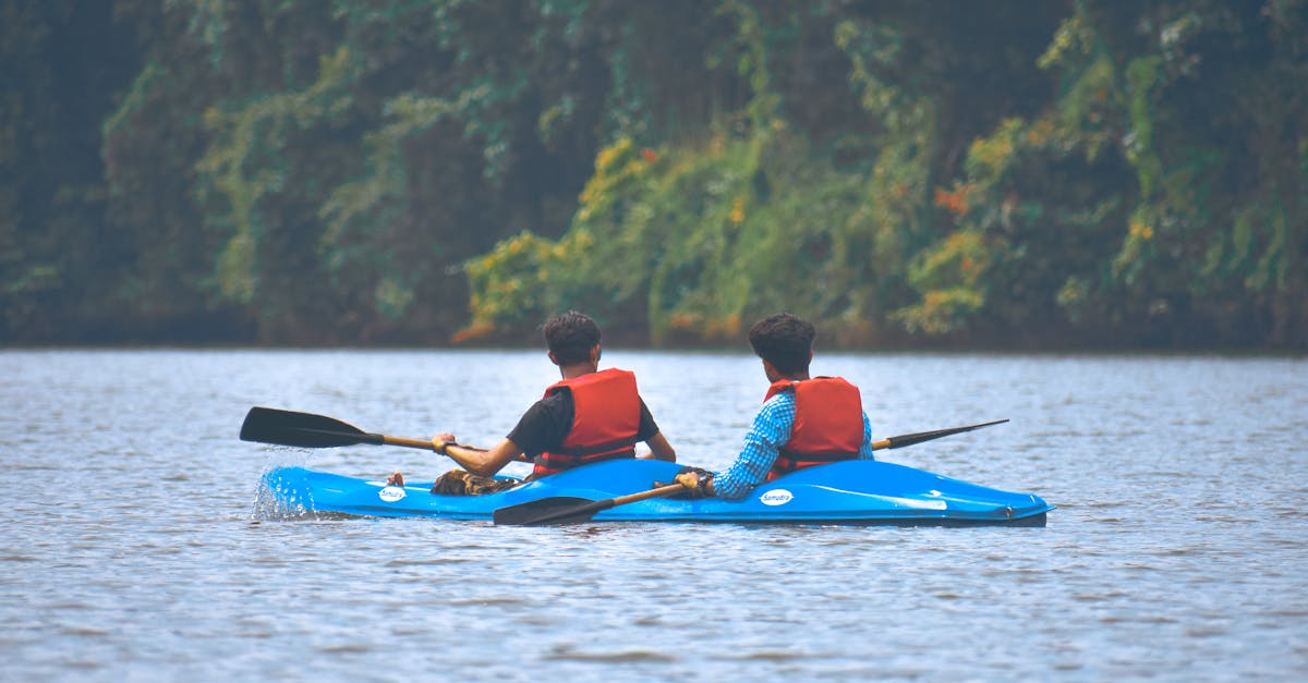 découvrez l'aventure du canoë-kayak : pagayez à travers des paysages magnifiques, explorez des rivières et des lacs, et vivez des moments inoubliables en pleine nature.