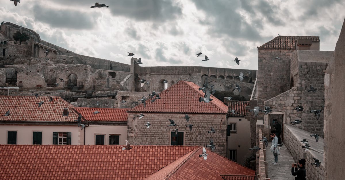 découvrez la richesse de la culture croate, un mélange fascinant de traditions historiques, de cuisine savoureuse, de musique folklorique et d'art vivant. plongez dans l'héritage culturel de la croatie à travers ses festivals, ses coutumes et ses sites emblématiques.