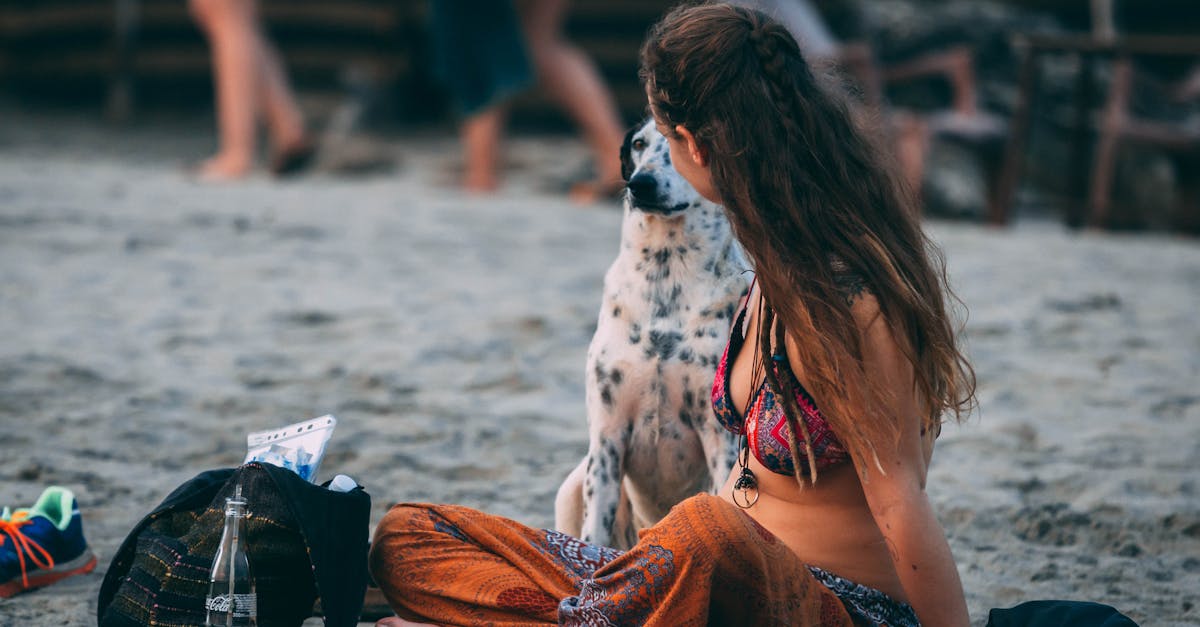 découvrez tout sur le dalmatien, ce chien aux taches emblématiques et à la personnalité vive. apprenez sur son histoire, ses caractéristiques, ses besoins en éducation et son tempérament. idéal pour les familles actives, le dalmatien est un compagnon loyal et énergique. explorez nos conseils pour en prendre soin et lui garantir une vie épanouie.