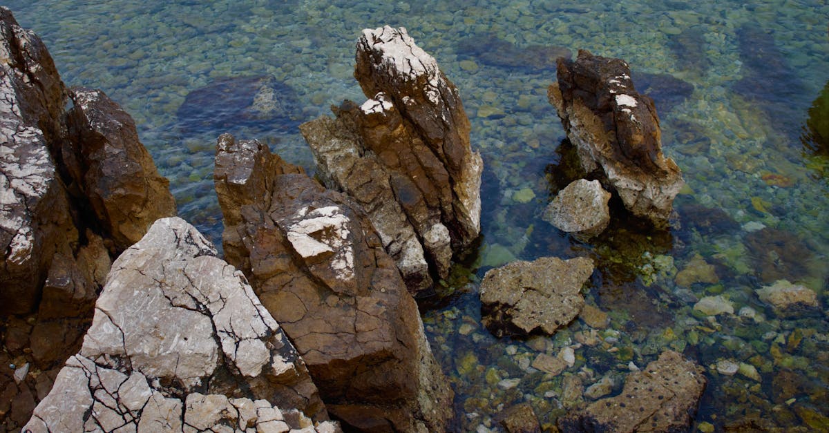 découvrez kvarner, une région croate fascinante où la mer cristalline rencontre des paysages montagneux époustouflants. profitez des plages accueillantes, des villages pittoresques et d'une gastronomie délicieuse. kvarner, la destination idéale pour une escapade inoubliable en bord de mer.