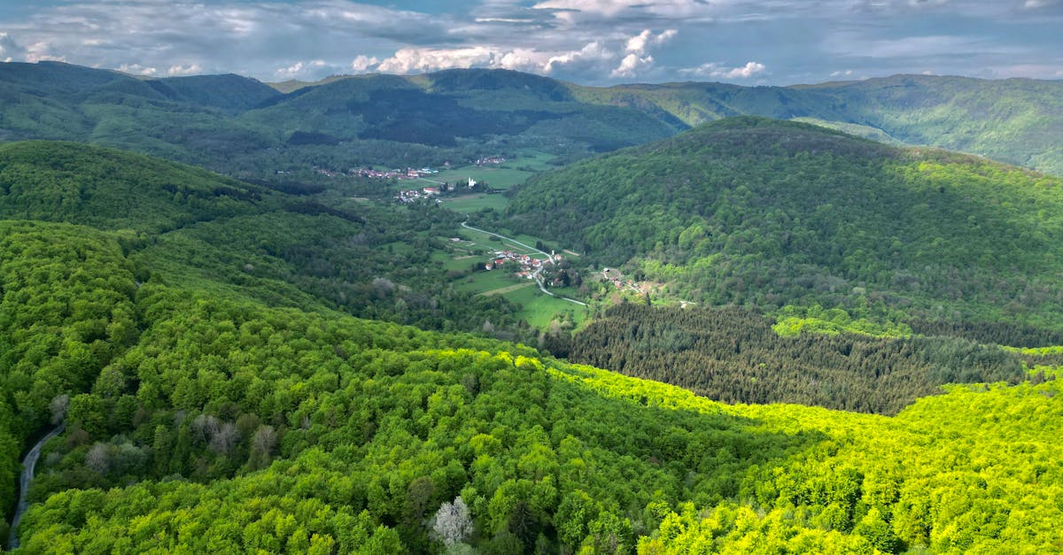 découvrez žumberak, une destination pittoresque en croatie, idéale pour les amoureux de la nature et les aventuriers. explorez ses paysages époustouflants, ses sentiers de randonnée et sa riche biodiversité. parfait pour une escapade détente ou une aventure en plein air.